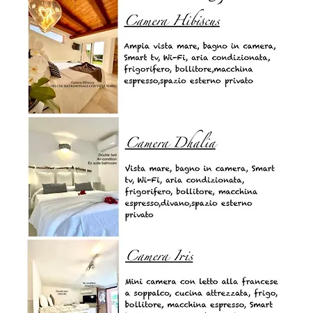 Kalypso - ゲストハウス 3*